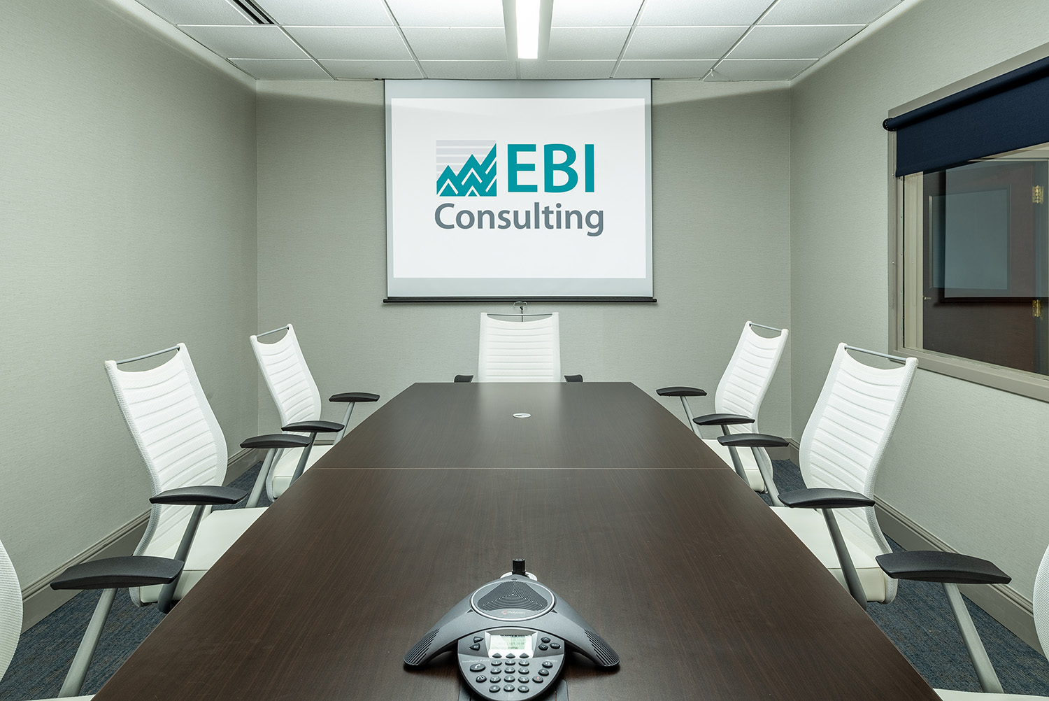 EBI Consulting