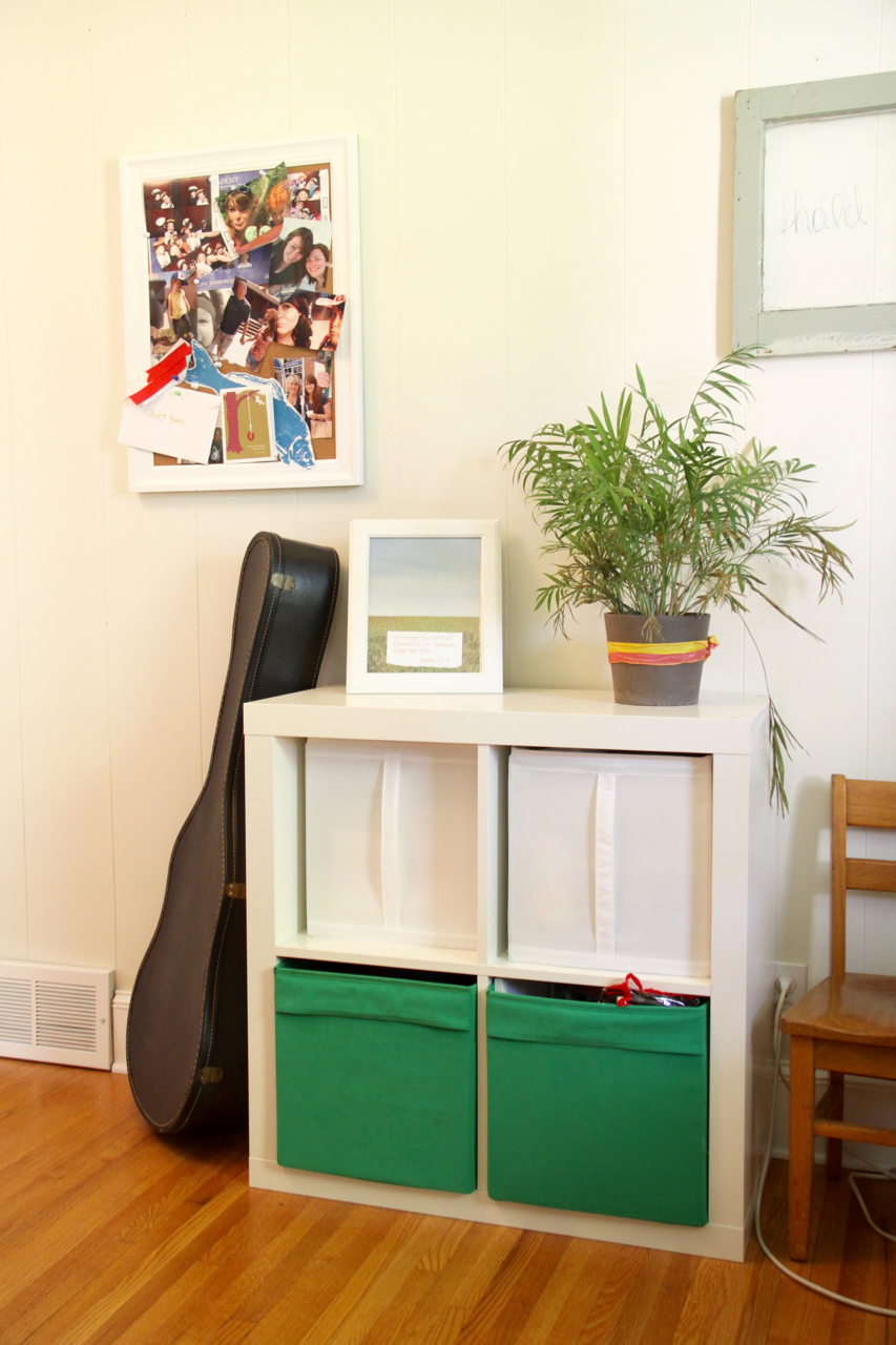 Bookshelves with Guitar