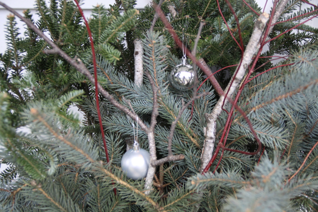 Easy DIY Outdoor Winter Planters