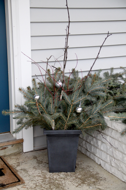 Easy DIY Outdoor Winter Planters