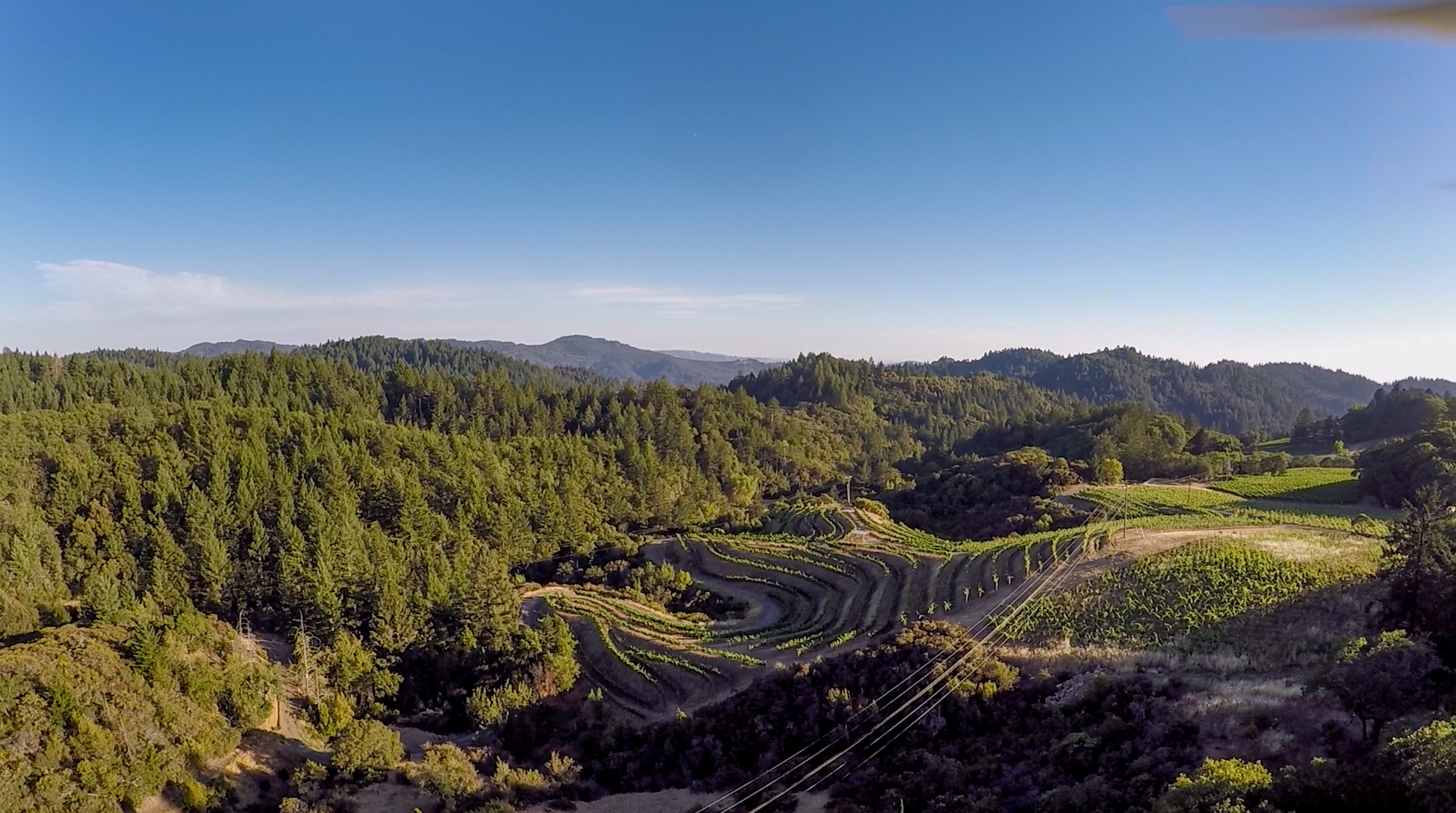 Screen Shot 2015-06-28 at 11.53.04 AM.jpg