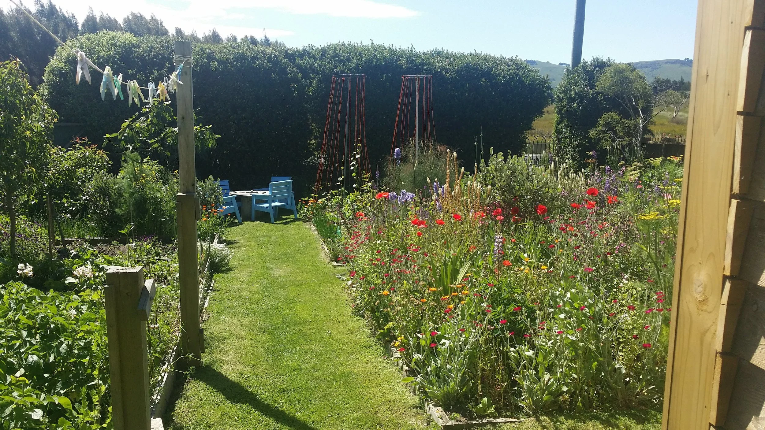 Bookings — Portobello Settlers Cottage