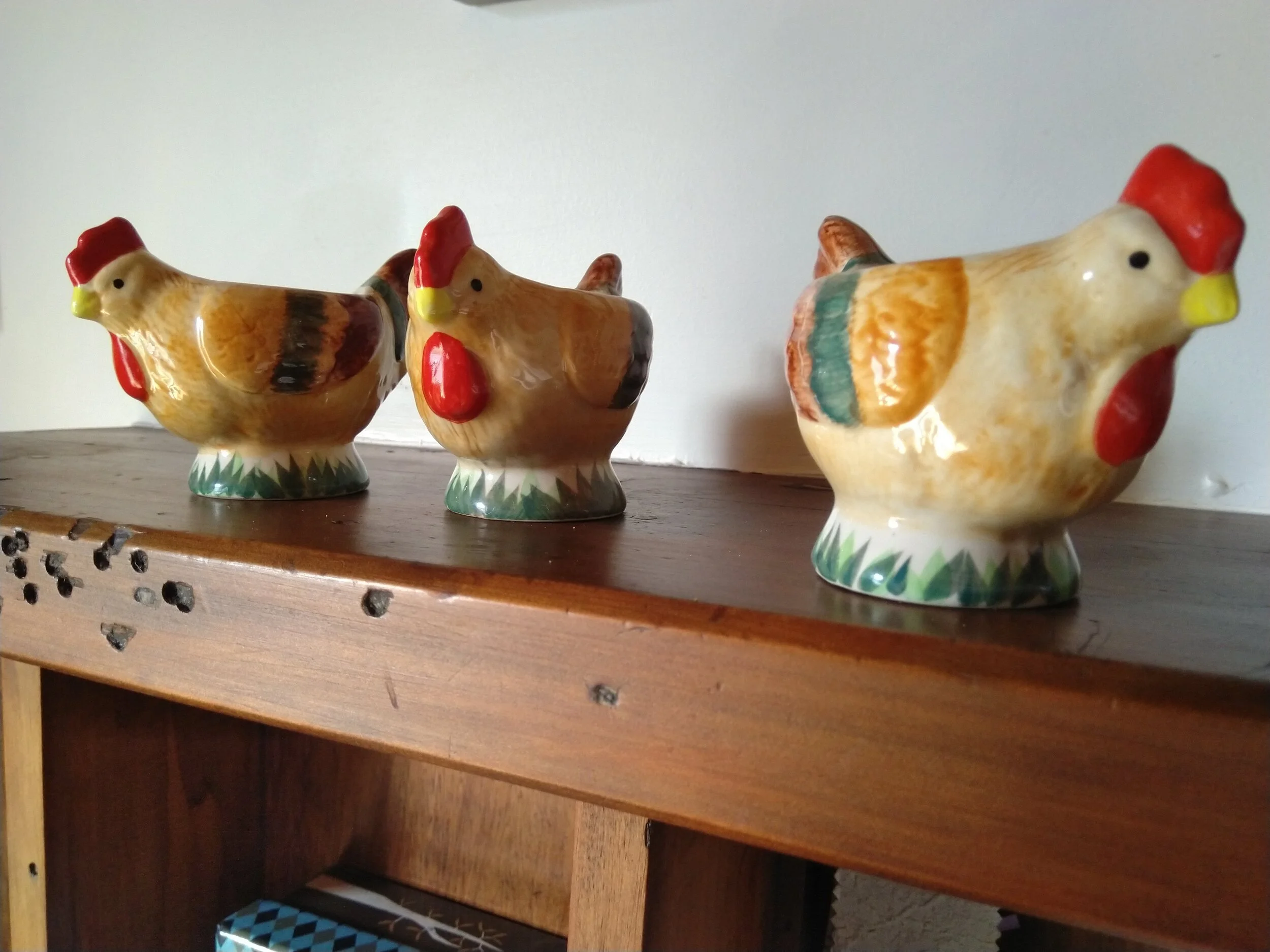  Sweet chickens inside and out 