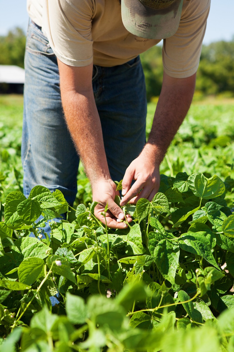 Adam from Wayward Seed Farm (Sandusky, OH)