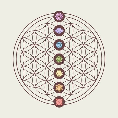The Five Elements
