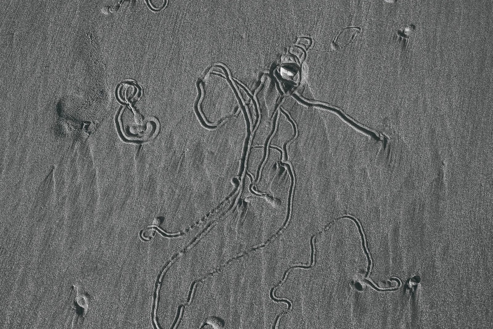 180224_CBP_5898.jpg