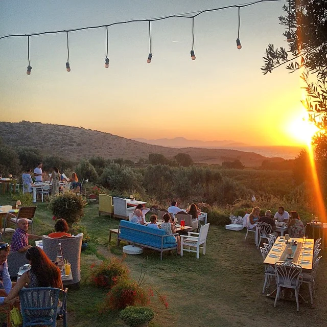 Fairytale Dinner Scene