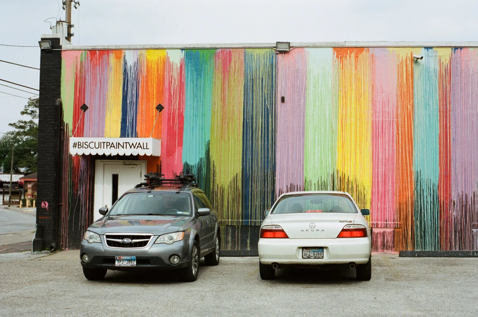#biscuitpaintwall