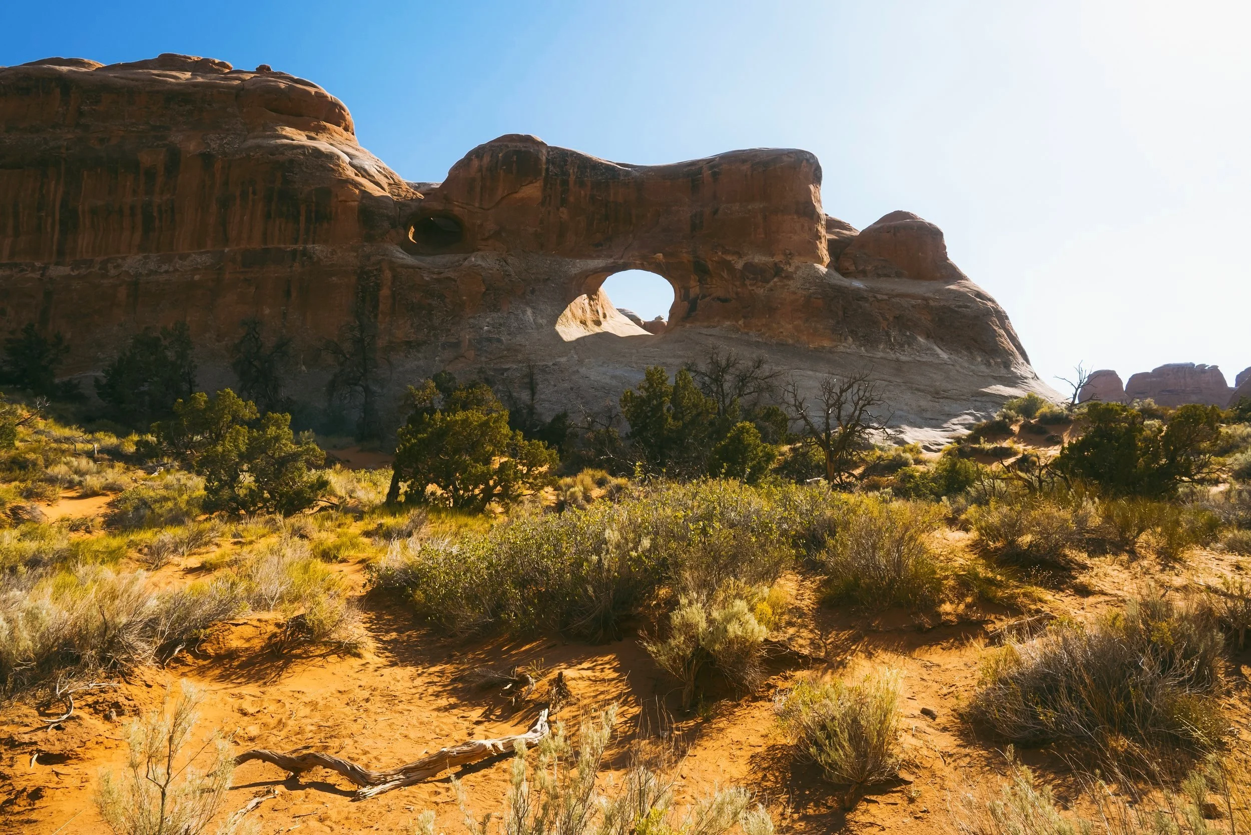 Arches National Park