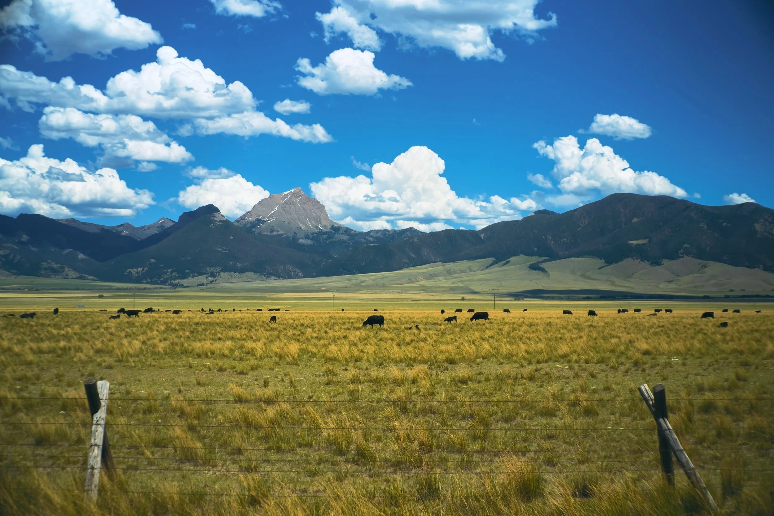 Madison River Valley