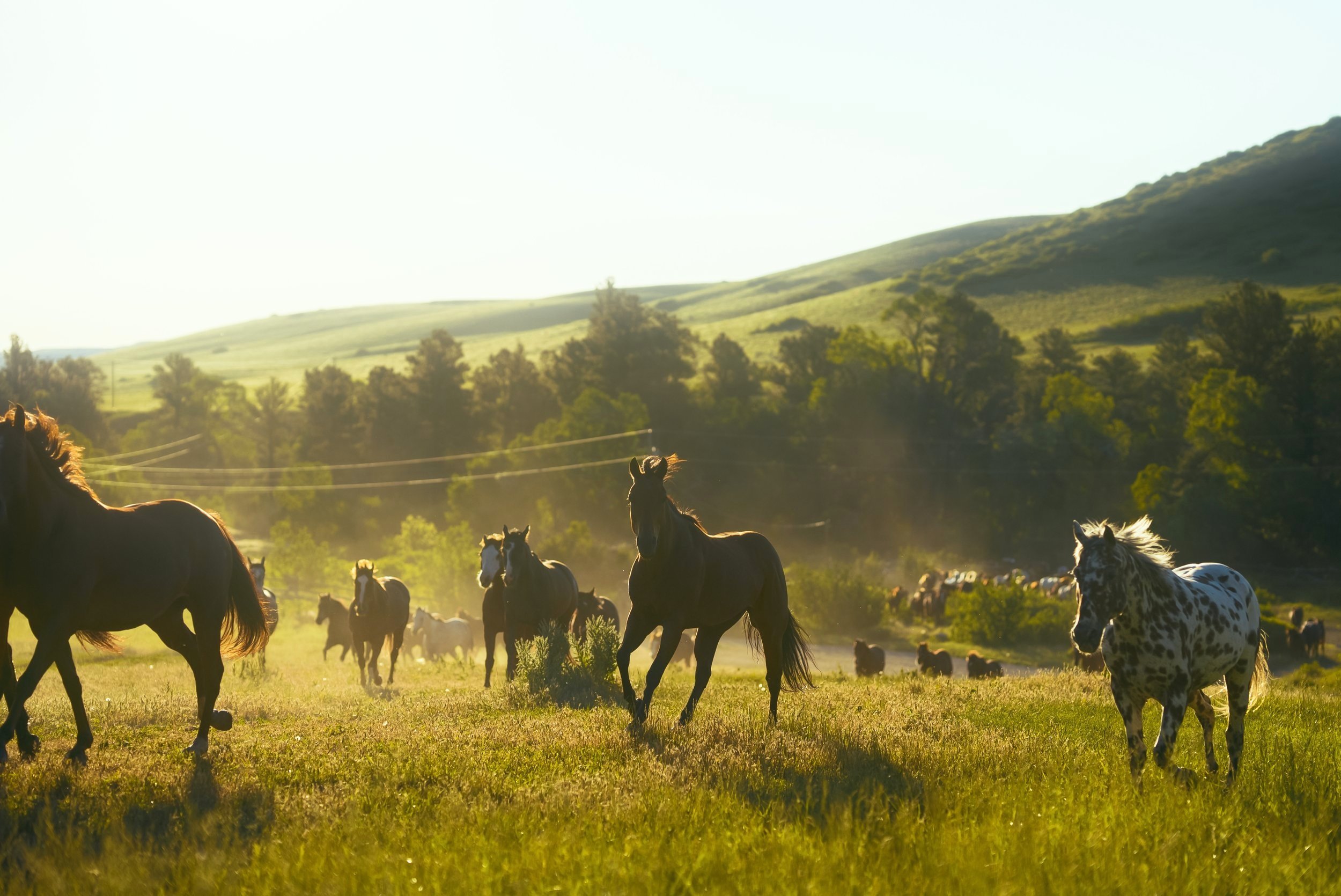 Eatons Ranch