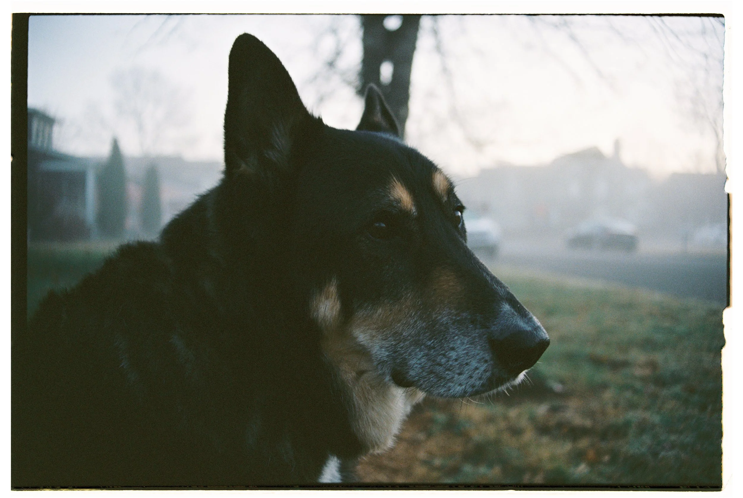 Tank