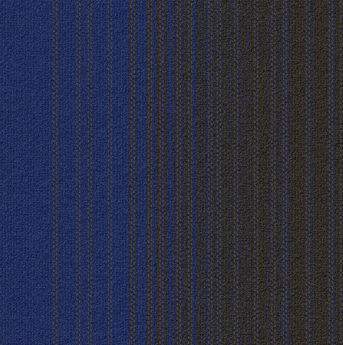 FLD48