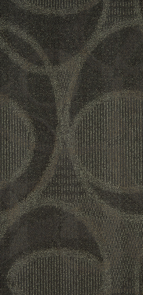 INC55
