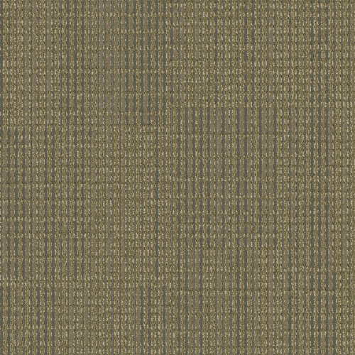 STC10