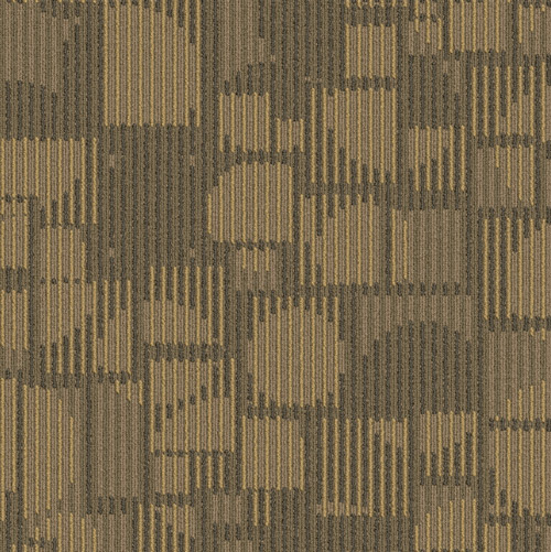 AER14