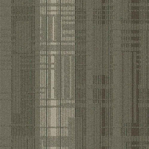 DTR53