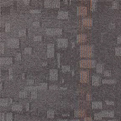 SQR01