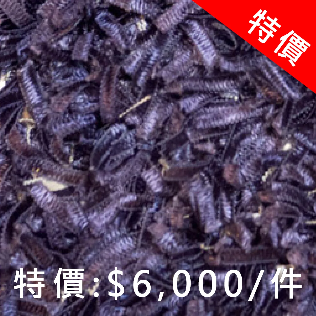 星光LGH長毛毯 Polyester (共2色) 200 x 300 cm 特價: 6,000元 (原價: 11,800元) *不含送貨運費,售完為止。