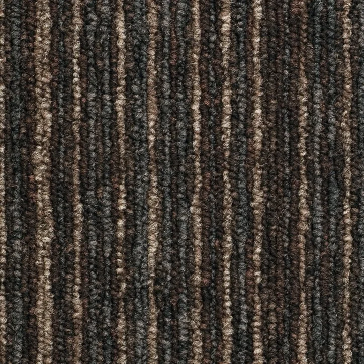 r6.jpg