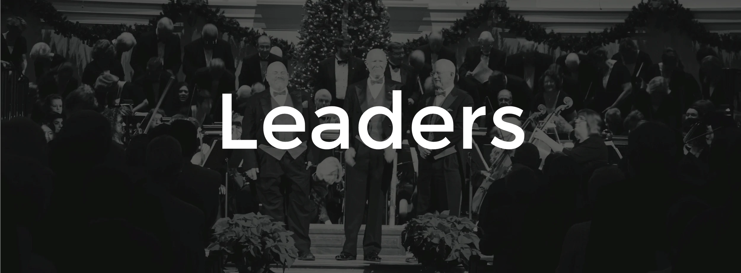 Banner Leaders.jpg