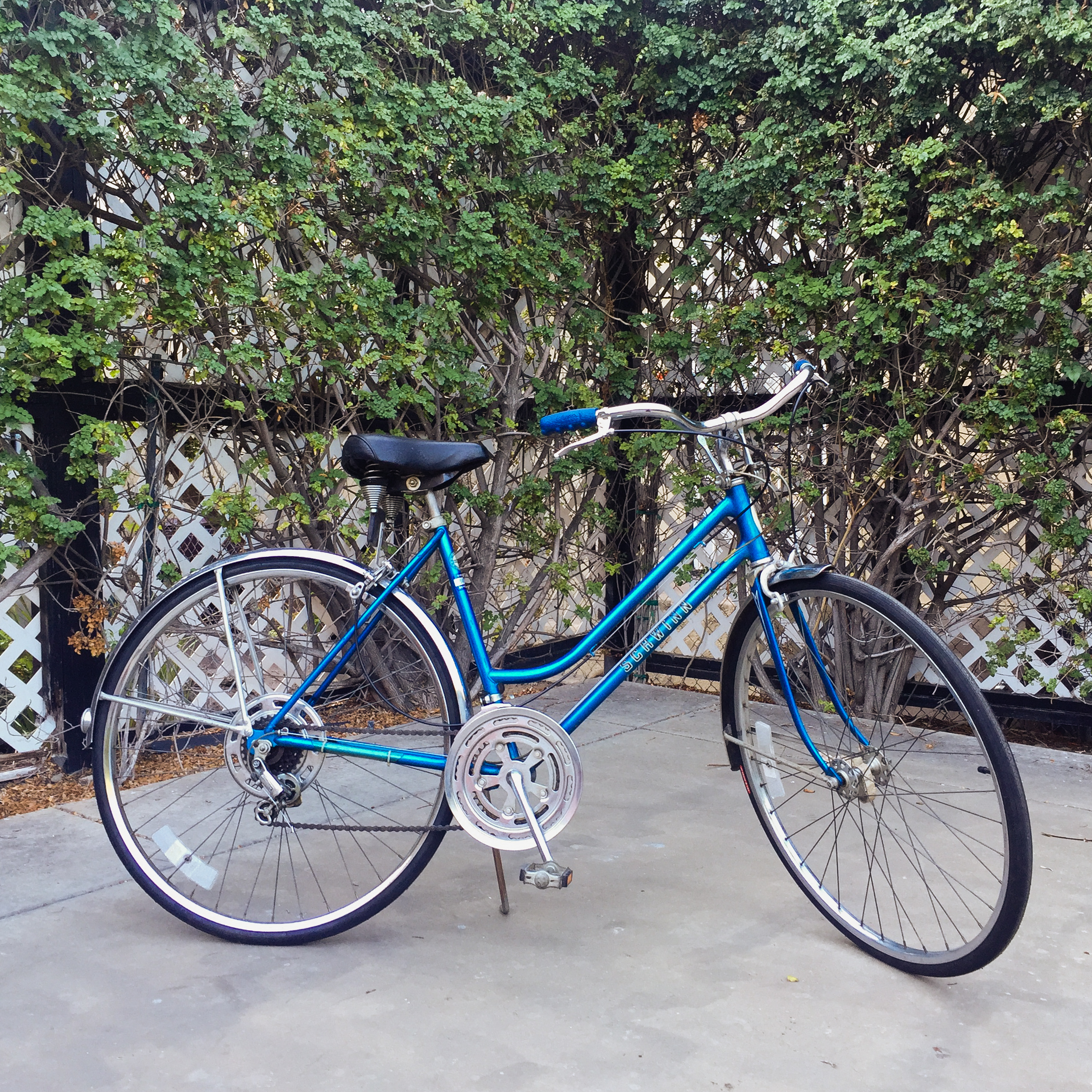 Preview of some of the bikes for tomorrows Used Bike Sale! — The Bicycle Tree