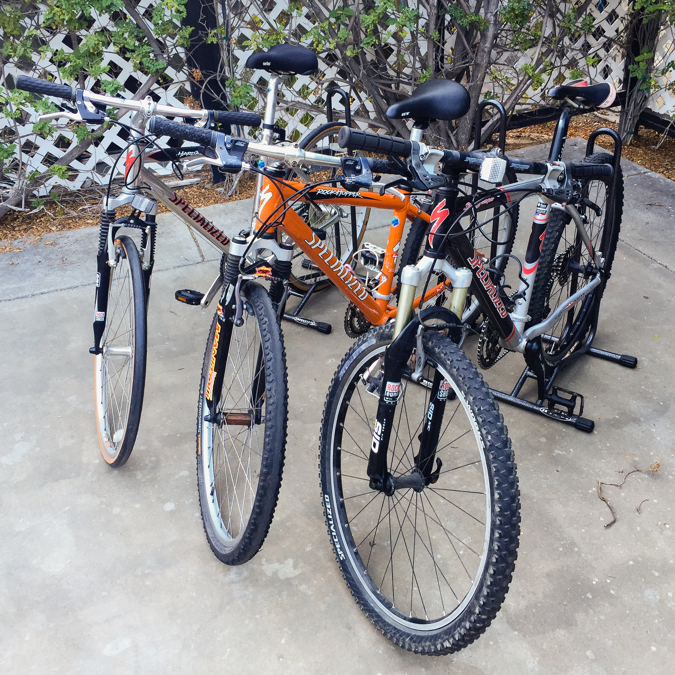 Preview of some of the bikes for tomorrows Used Bike Sale! — The Bicycle Tree
