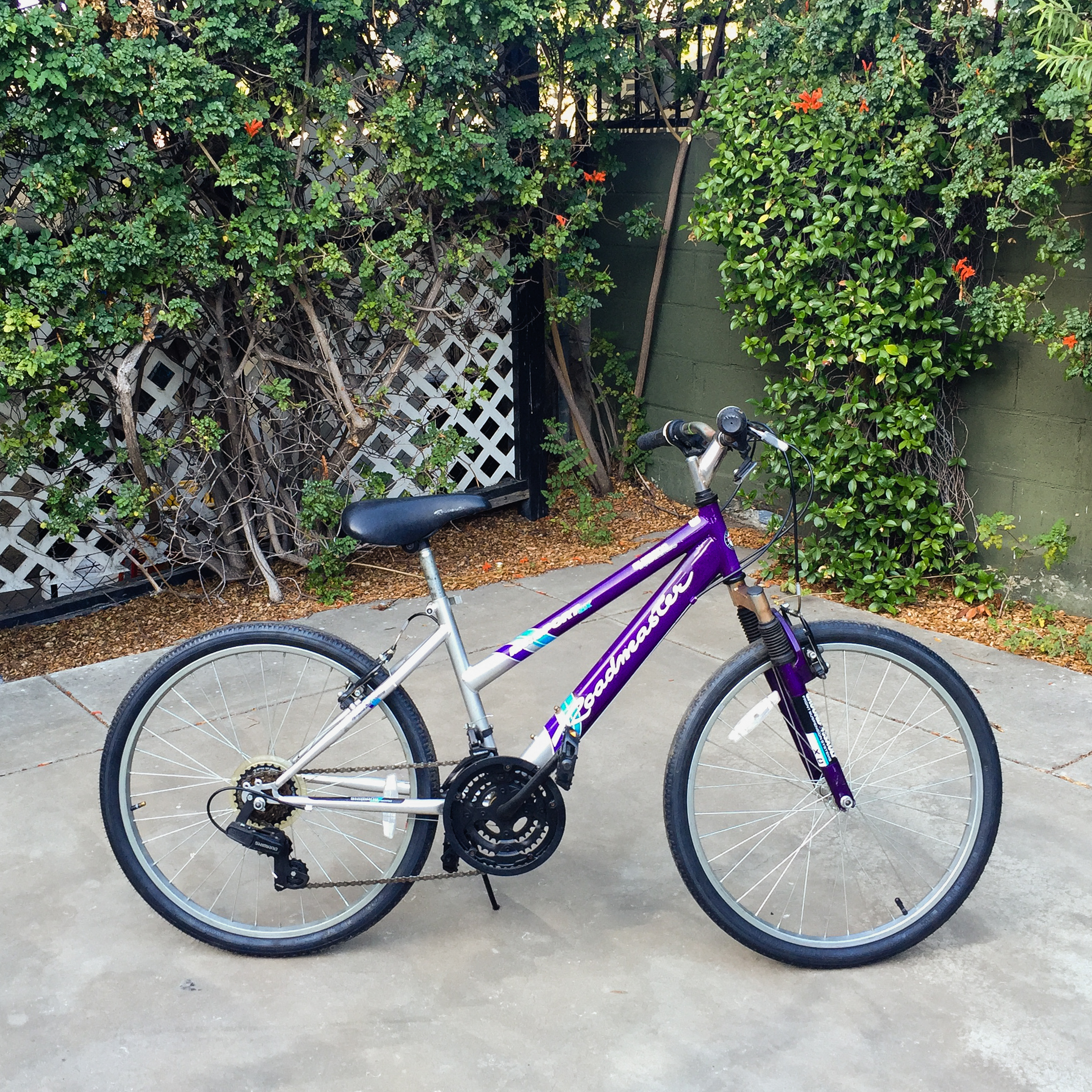 2016-09-03_BT_BikeSale_Preview_092.jpg