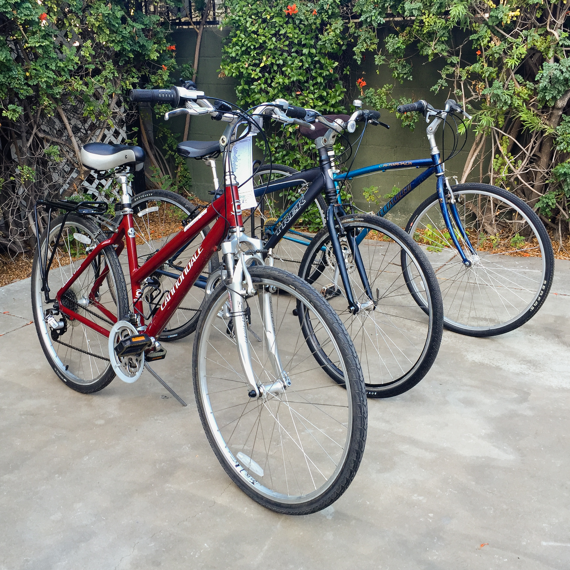 2016-09-03_BT_BikeSale_Preview_097.jpg
