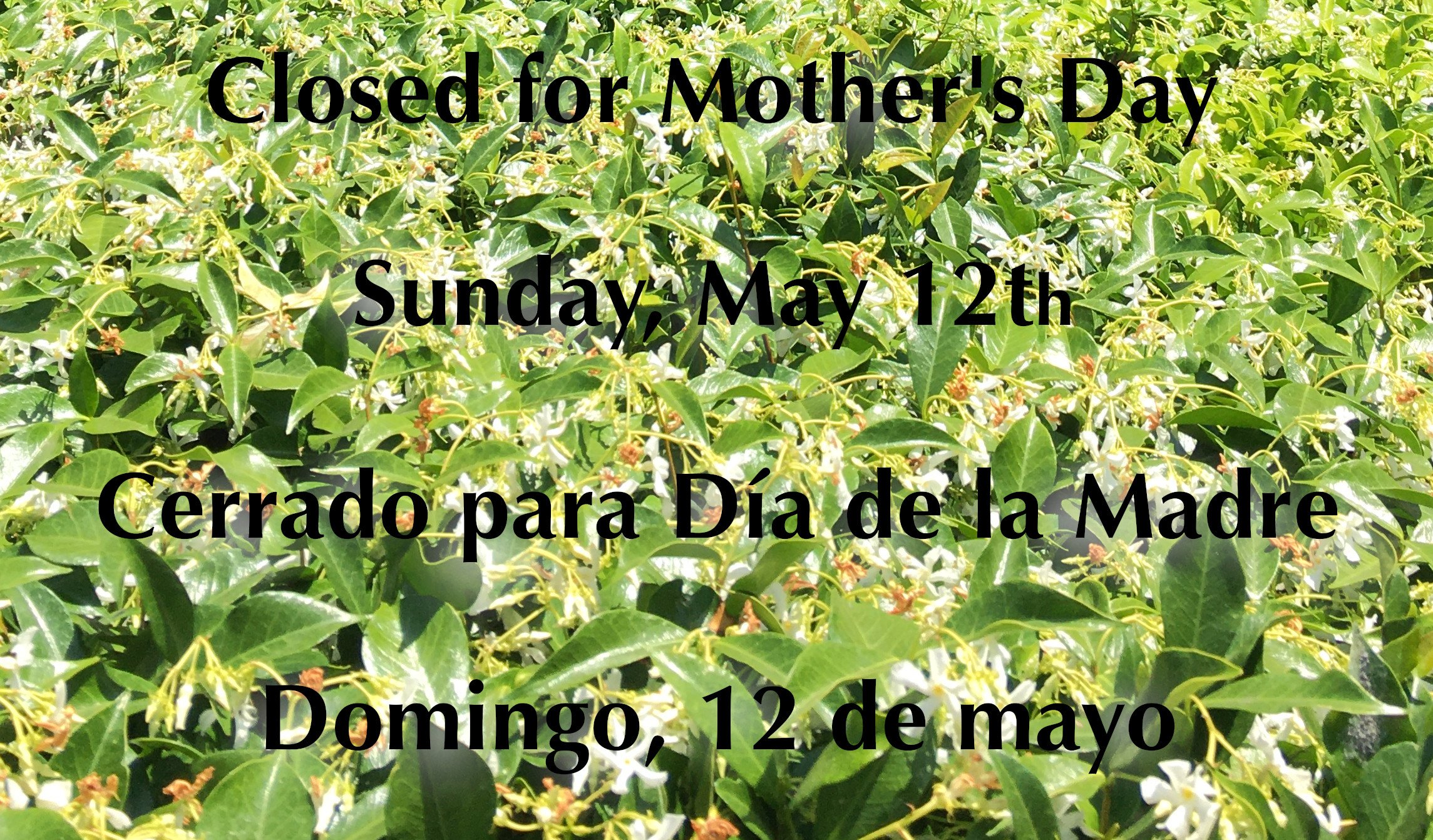 Closure_Mothers-Day_2024_website.jpg