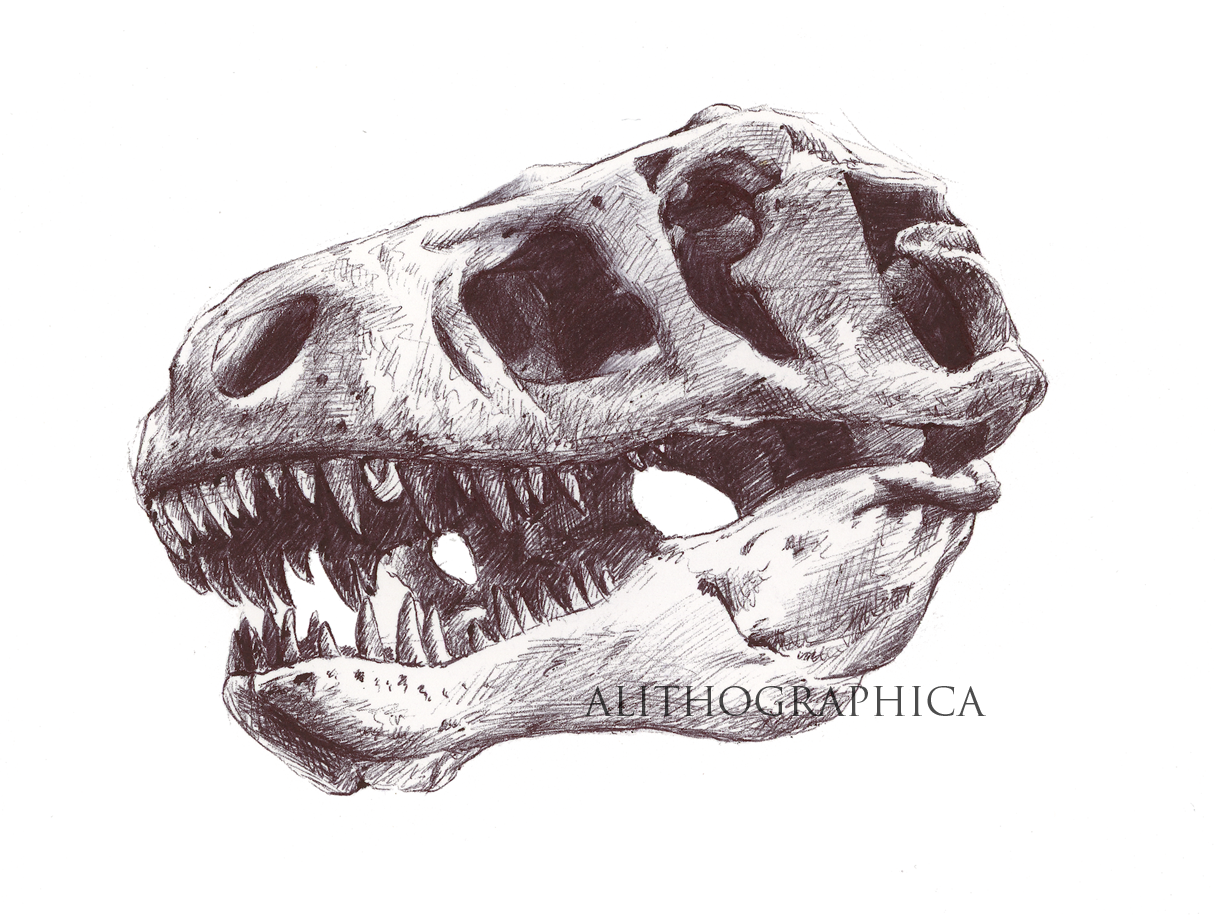T. rex (Ballpoint pen, 2018)