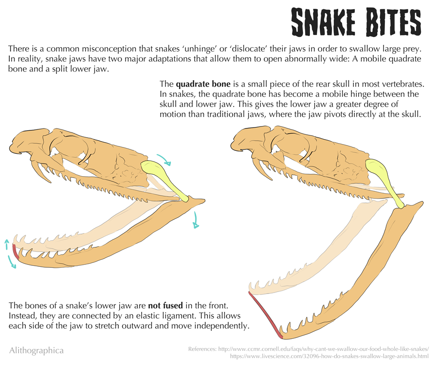 Snake Jaws (Digital, 2018)