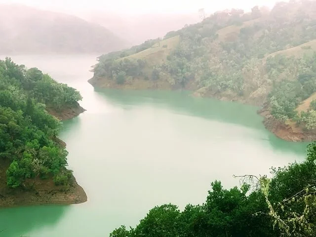 Morning run on east trail of Lake Sonoma. Even the pouring rain can&rsquo;t spoil the beauty.