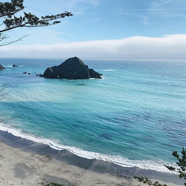 Mendocino is filled with vibrant contrasting colors and a raw natural beauty that can be otherwordly. So glad we made the trip.