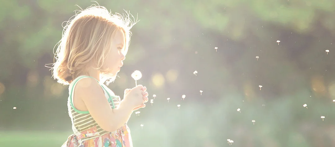 live carefree 102317.jpg