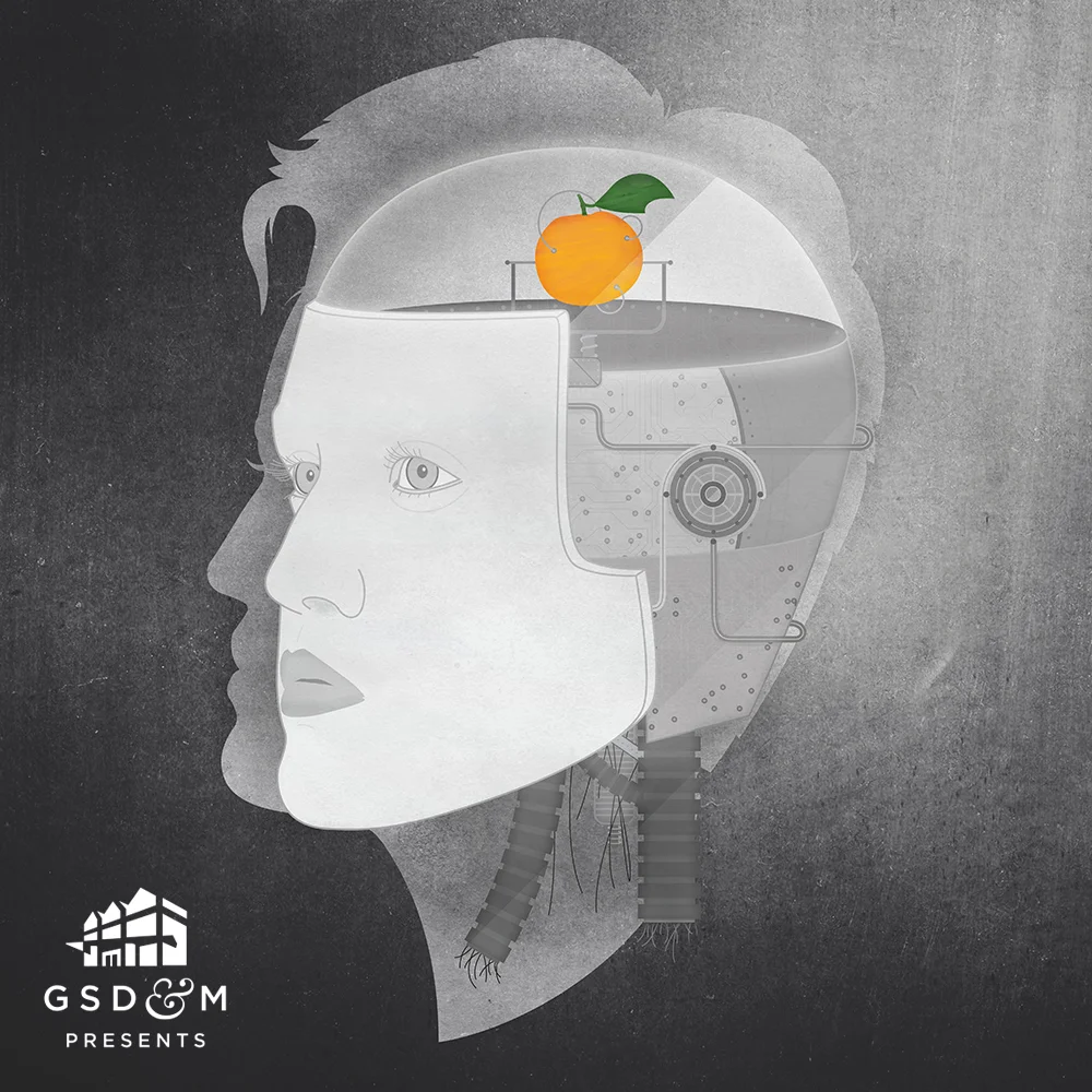 Website_Project_Covers_2017_GSDMP.jpg