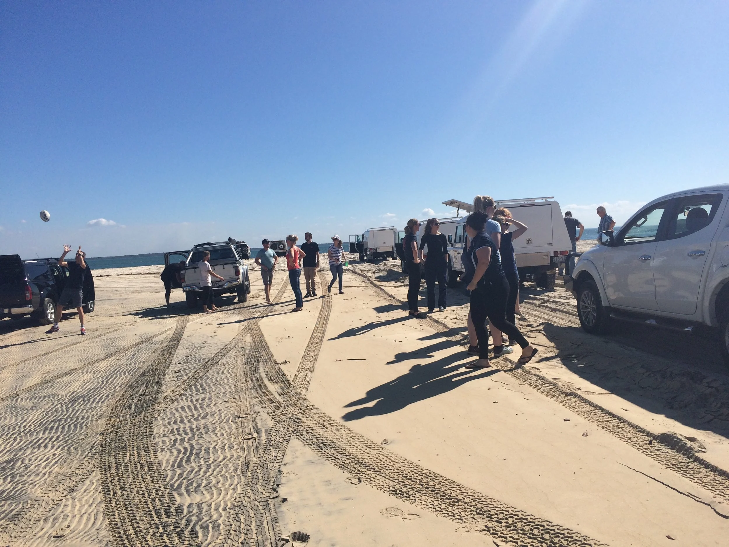 Trauma Island (Fraser)