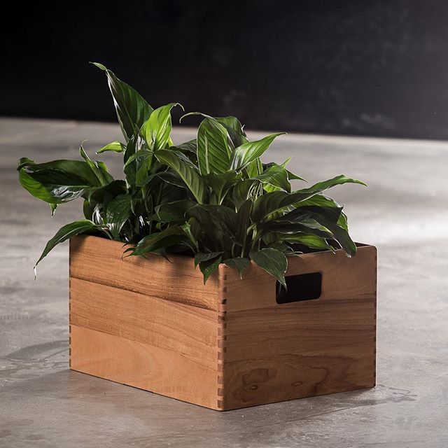 Wooden Box | Marri | Dovetail
#dunsborough #dunsboroughwoodworks #australia #furniture #vinyl #hifi #storage #design #home #interiordesign #homedecor #bespoke #custom #cabinetry #interior #westernaustralia #perth #marri #dovetail #crate #box #woodenbox