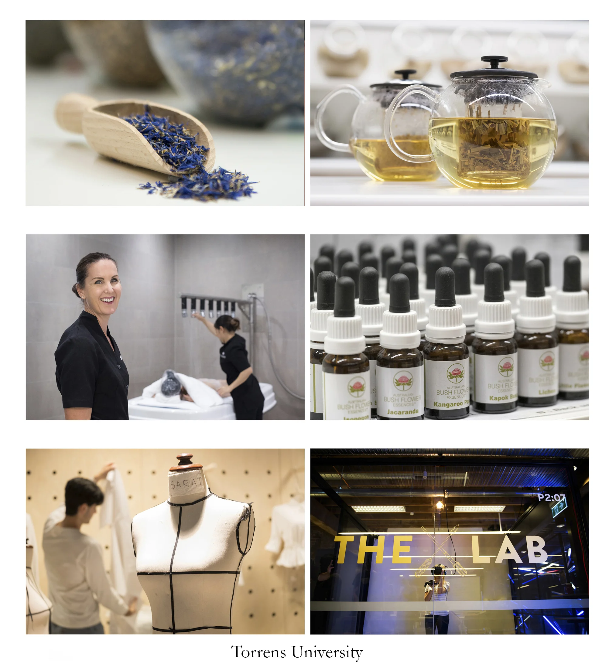 image-asset (1).jpeg