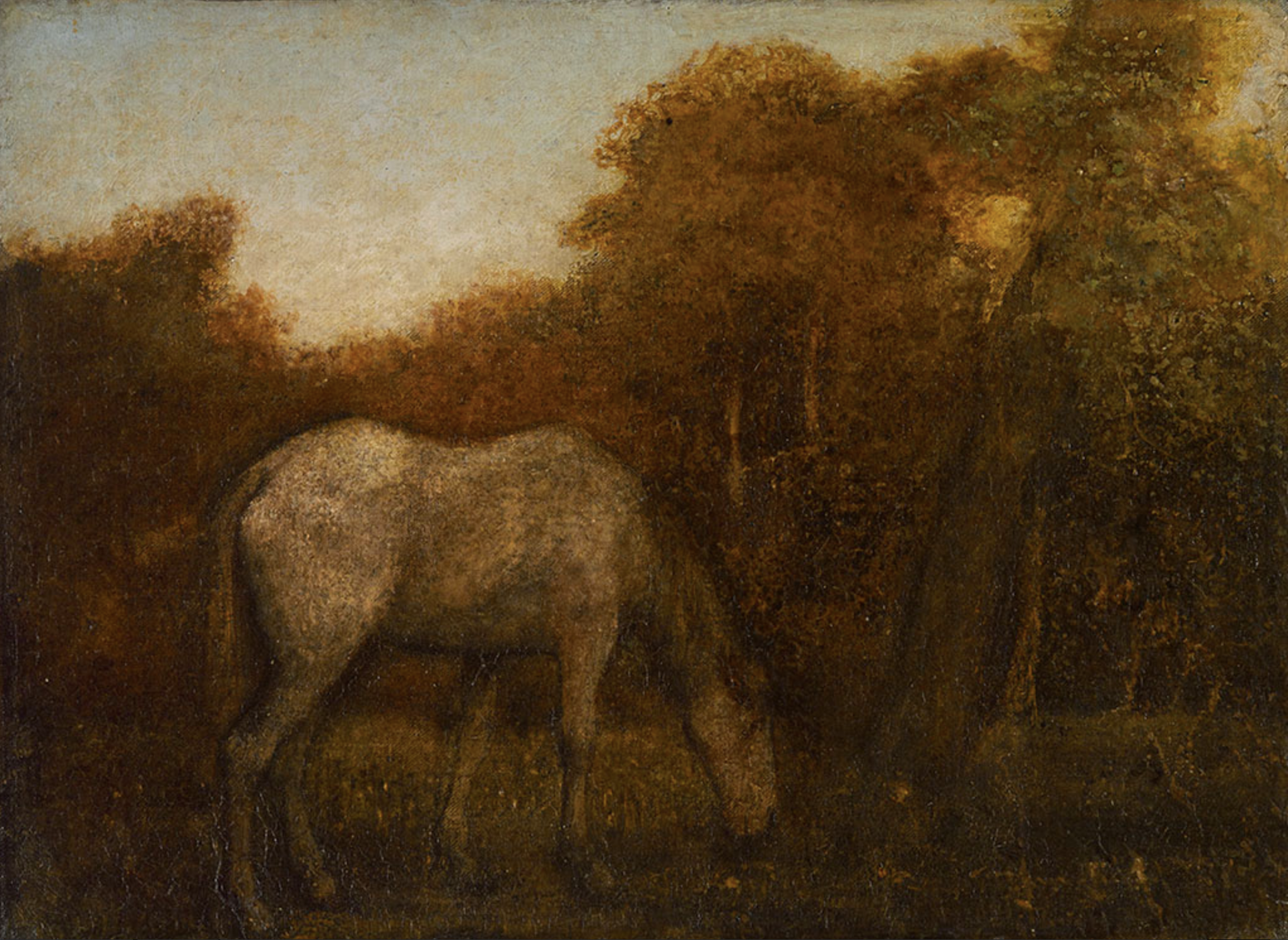 Grazing horse 1870s