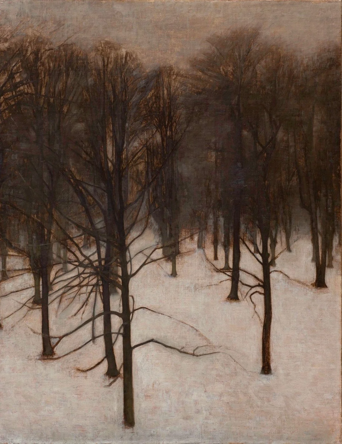Søndermarken Park in Winter - 1895-96