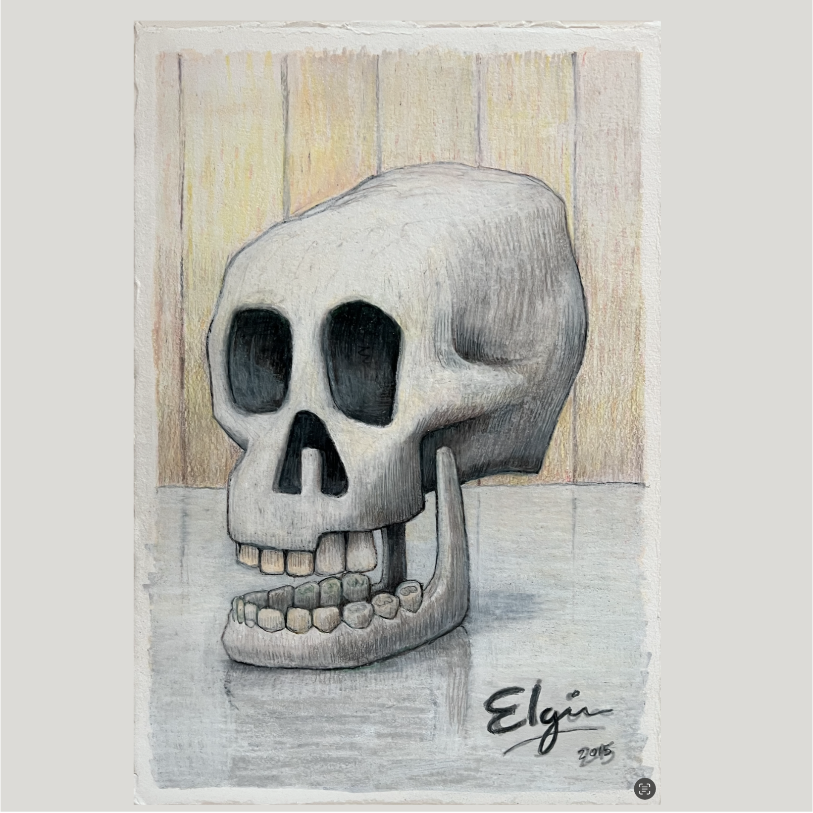 Skull 1, Pencil on paper 2015