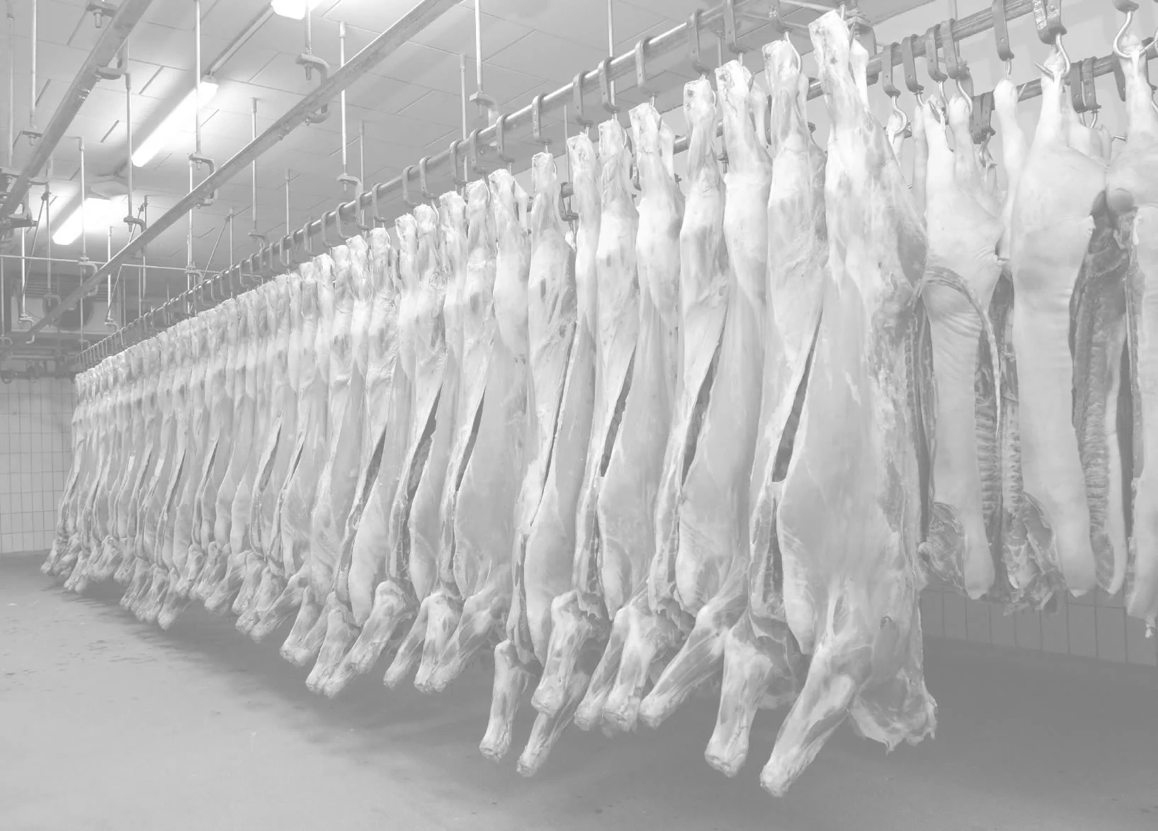 meat_coldroom2.jpg