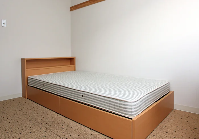 tulip_bed.jpg