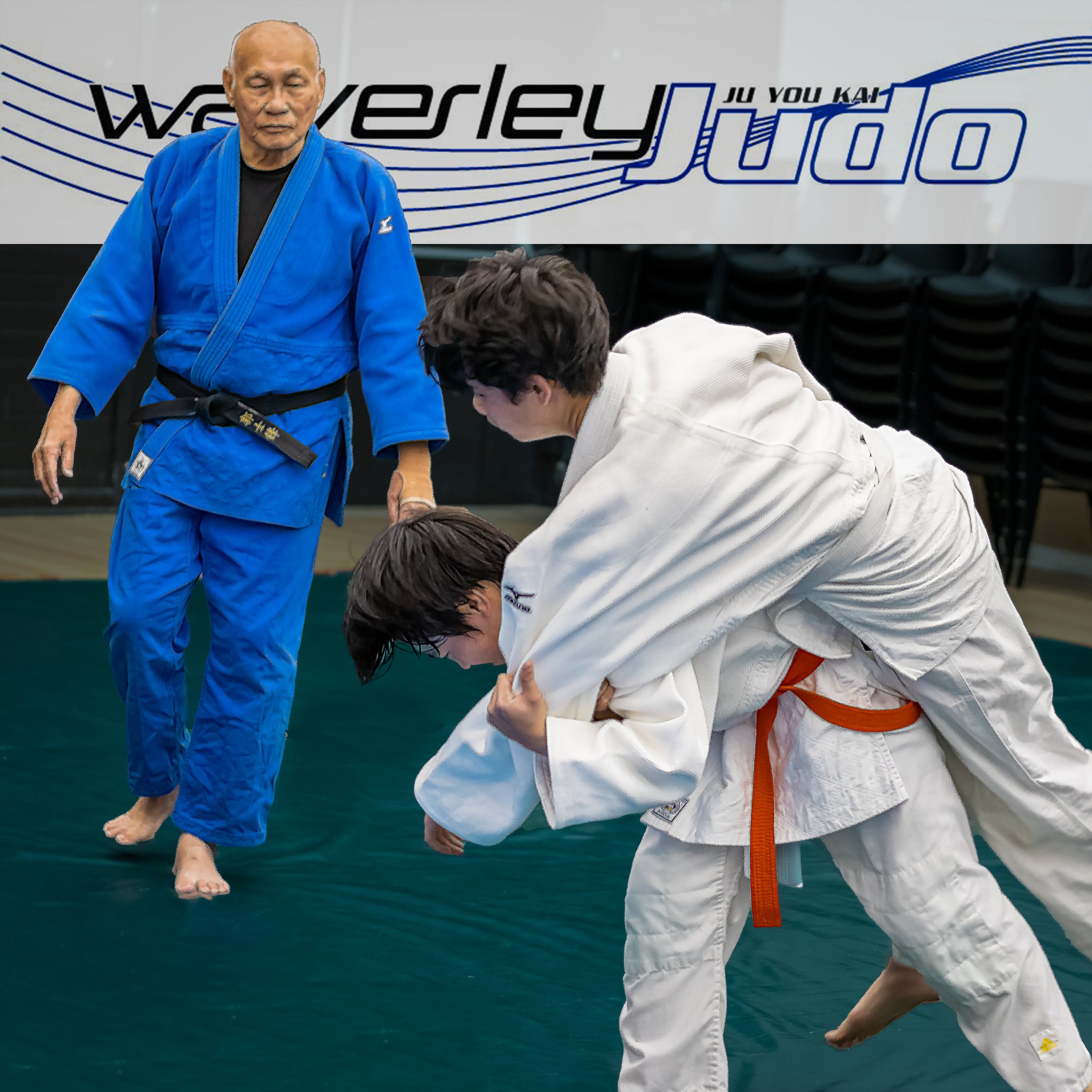 Waverley Judo-4.jpg