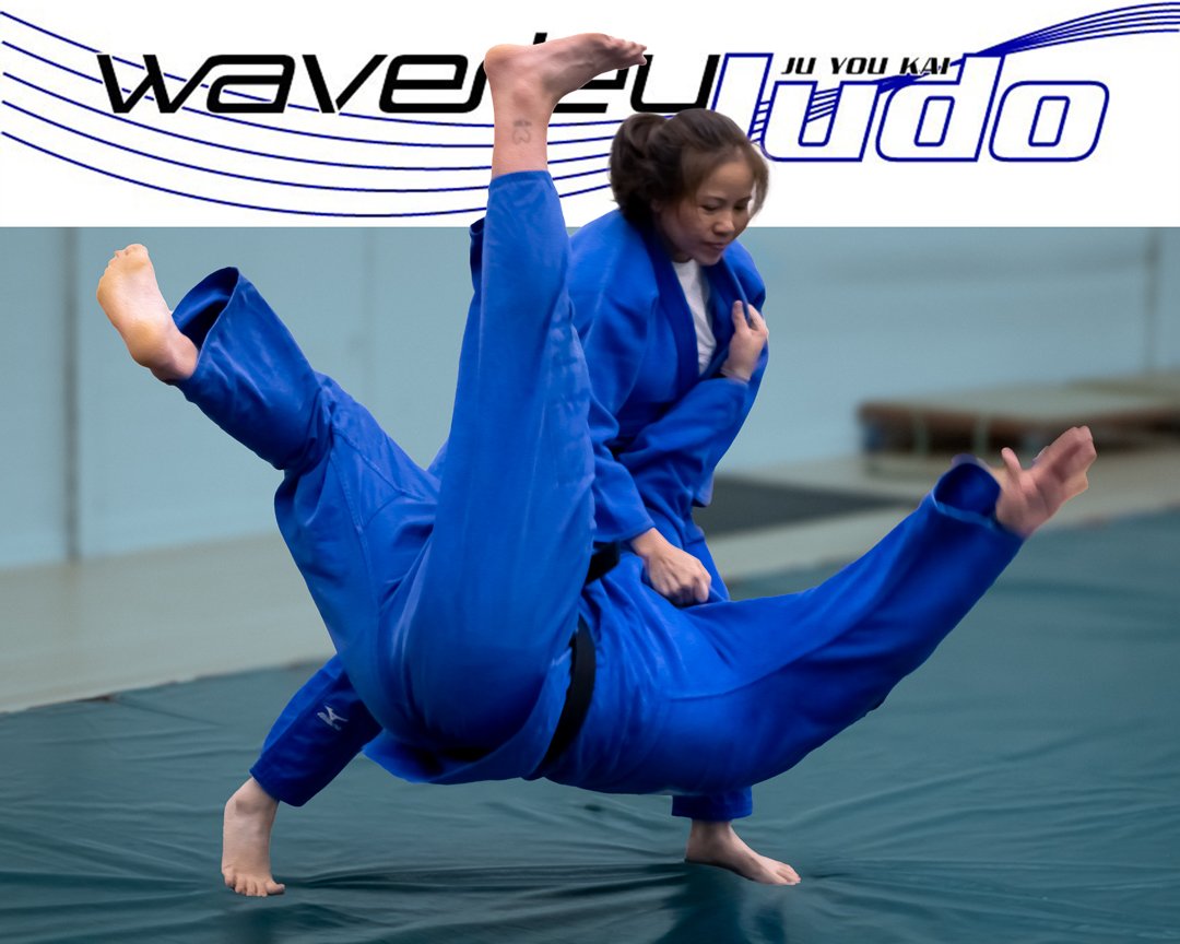 Waverley Judo-20.jpg