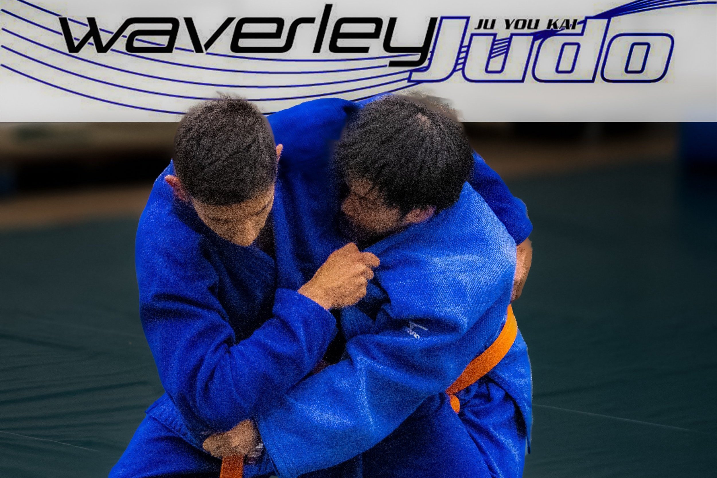 Waverley Judo-1.jpg