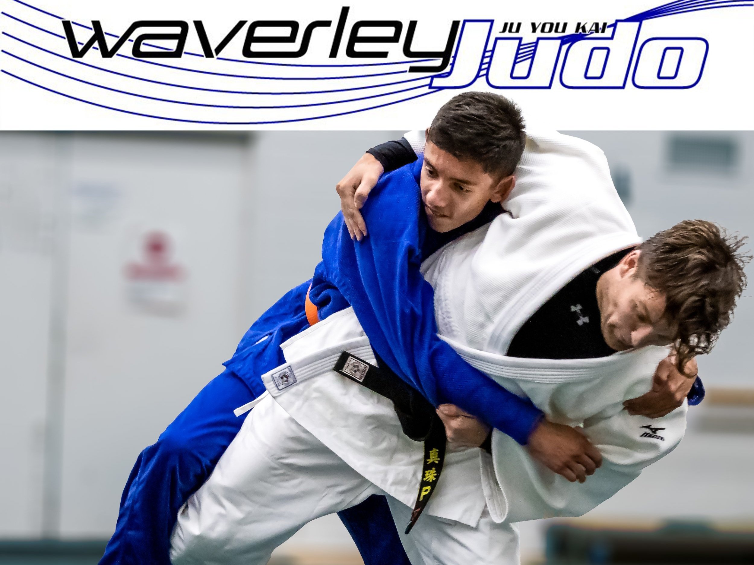 Waverley Judo-2.jpg