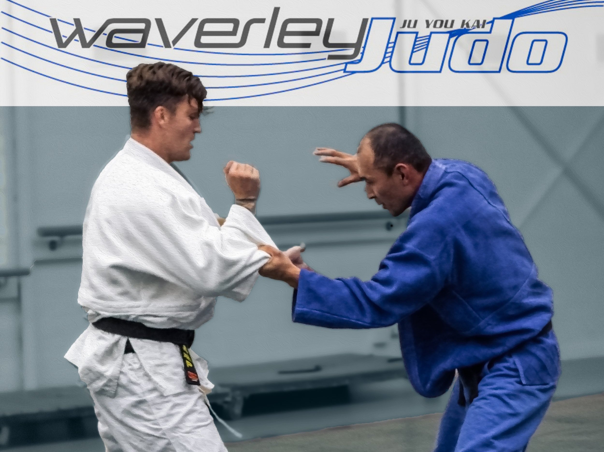 Waverley Judo-5.jpg