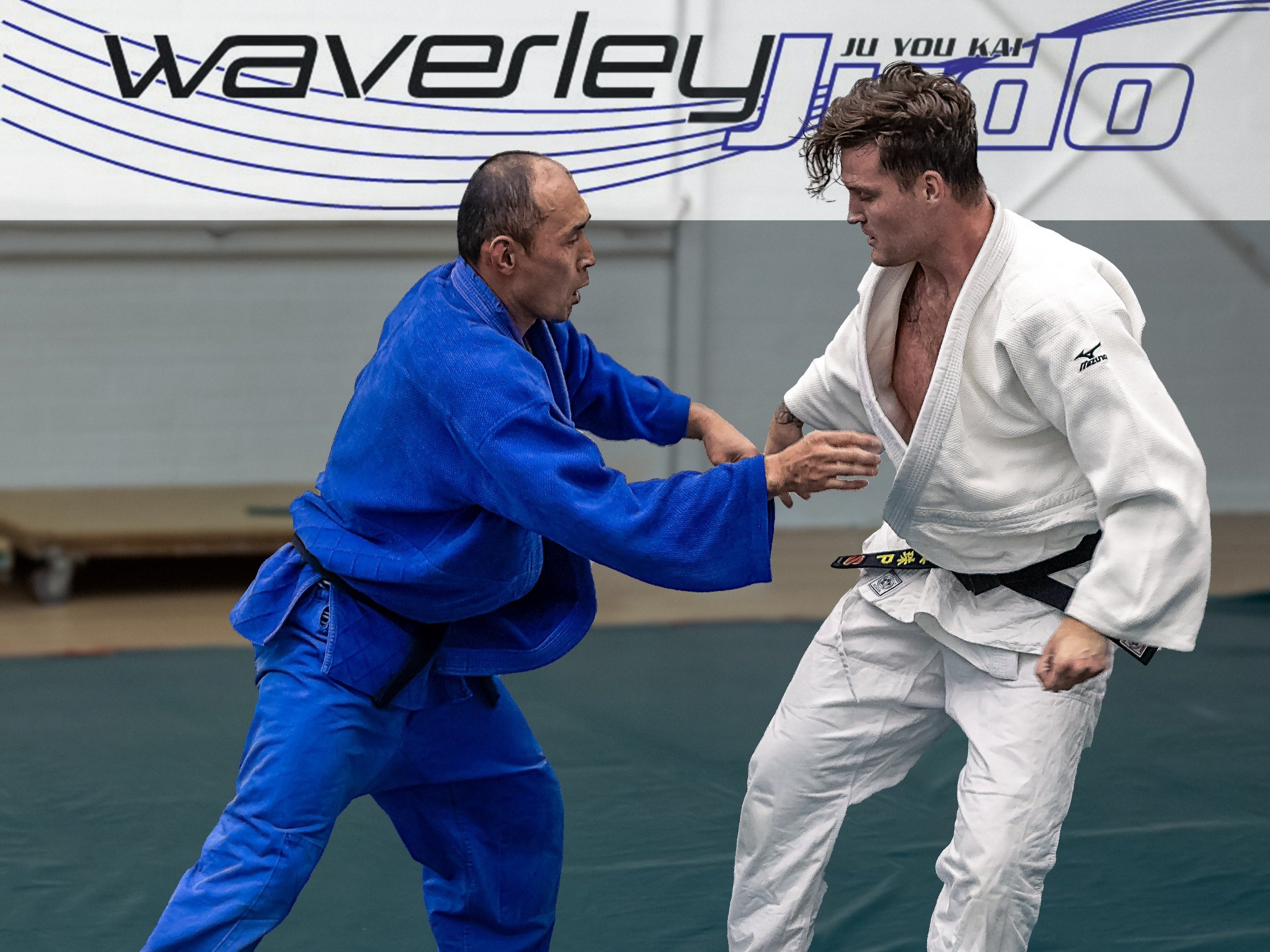 Waverley Judo-6.jpg